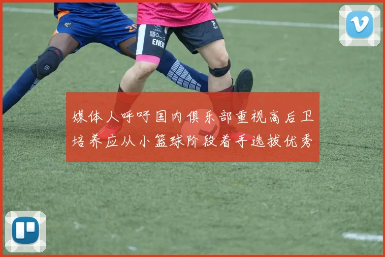 媒体人呼吁国内俱乐部重视高后卫培养应从小篮球阶段着手选拔优秀前锋